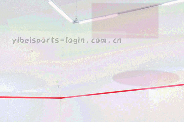 易贝体育品牌象征图形：运动与科技结合的抽象几何